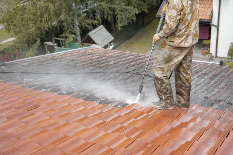 Aluminum Siding Cleaning
