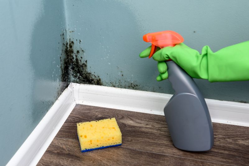 Stain and Mold Treatment
