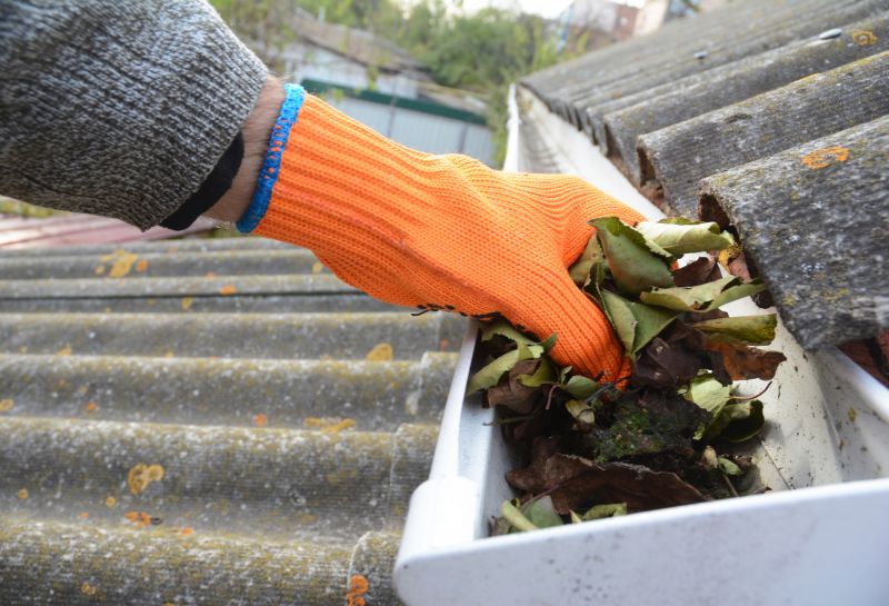 Garage Gutter Cleaning in Fredericksburg, VA