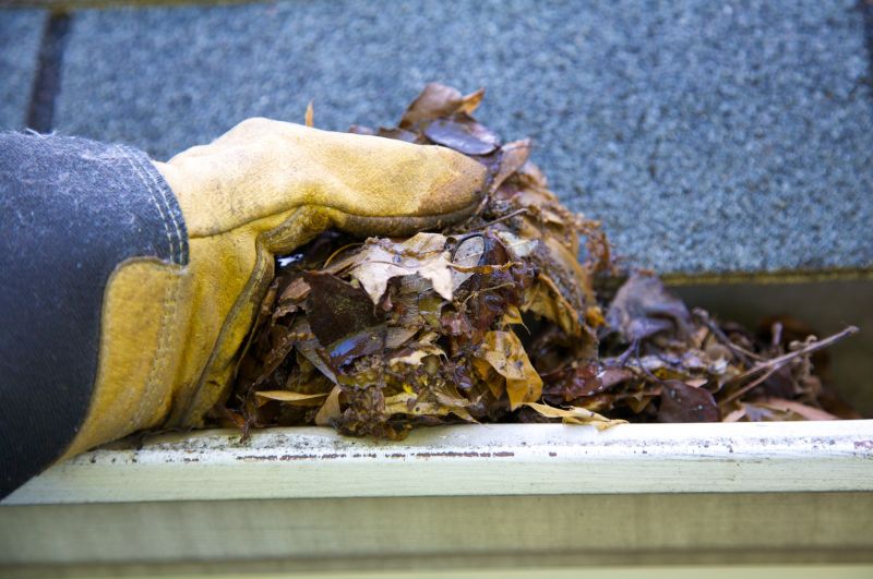 Rain Gutter Clearing in Annapolis, MD